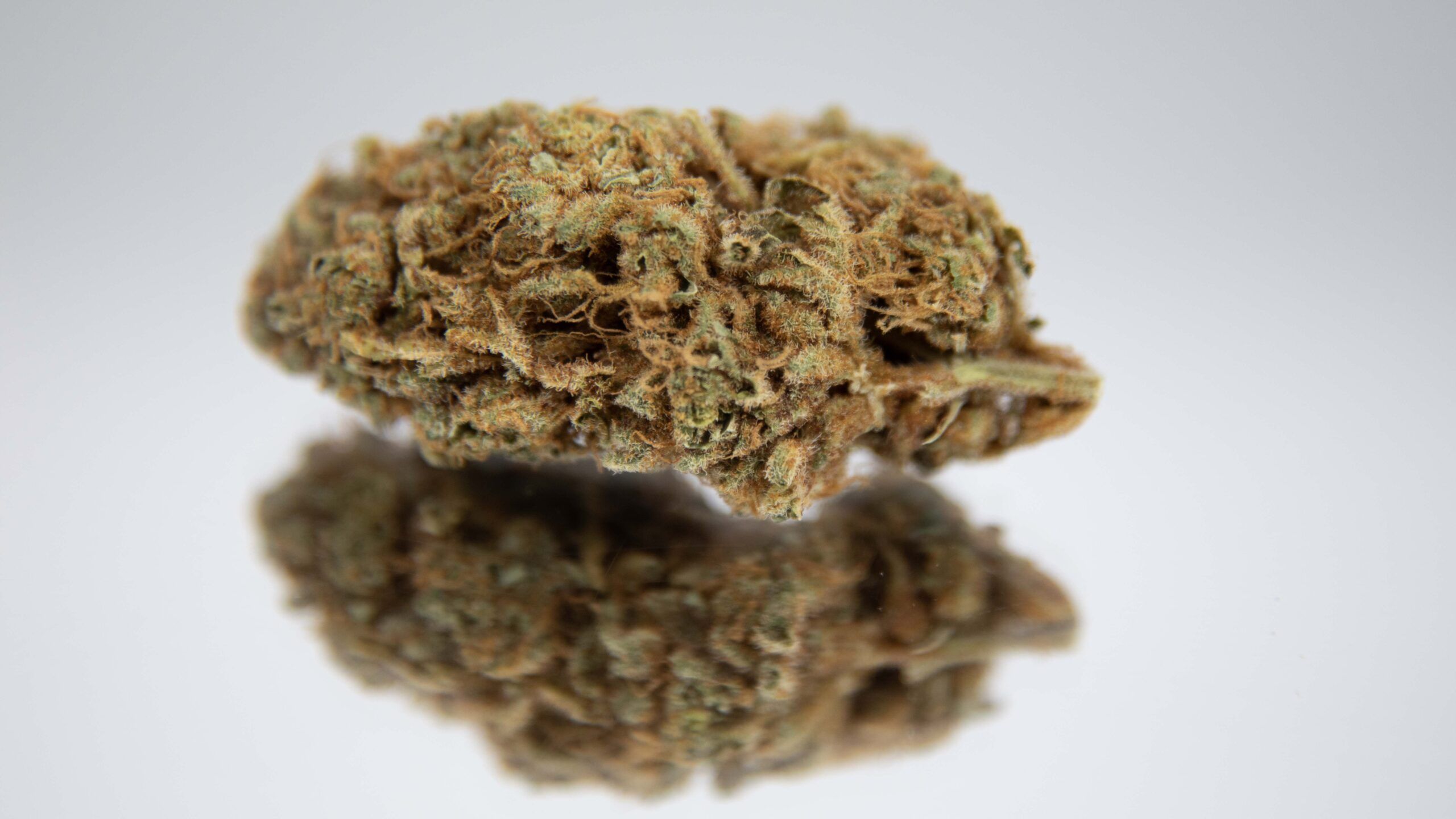 Will Cannabis Strain NFTs Become the Next Frontier for Collectors?