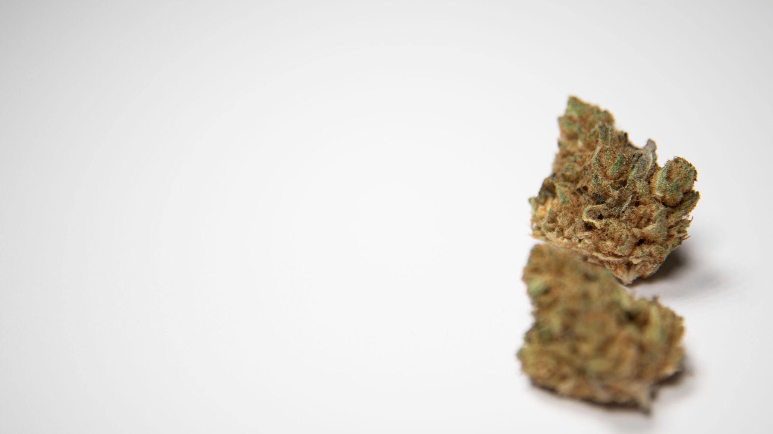 Strain‑Collecting as an Investment: Worth the Risk?